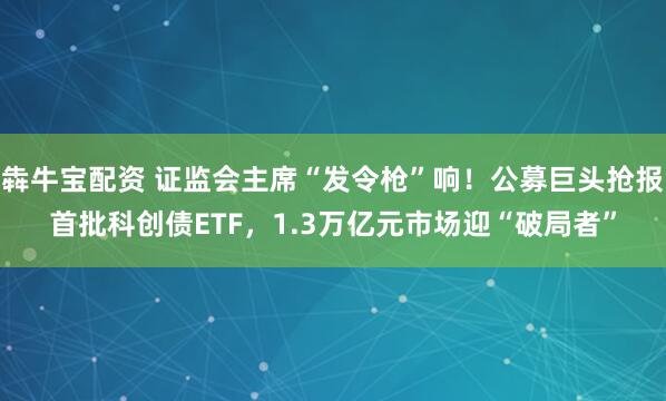 犇牛宝配资 证监会主席“发令枪”响！公募巨头抢报首批科创债ETF，1.3万亿元市场迎“破局者”